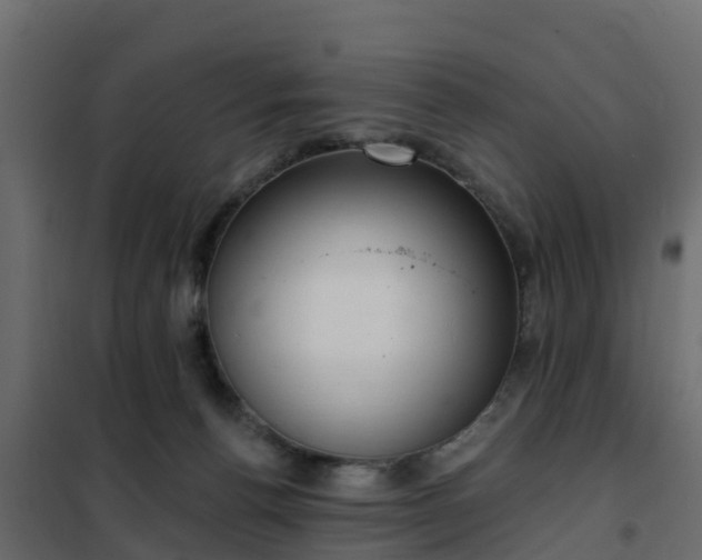 X0000102350176200808081203