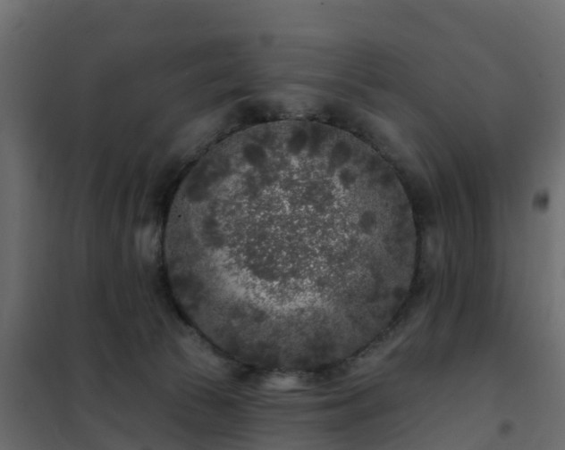 X0000102350177200808081203