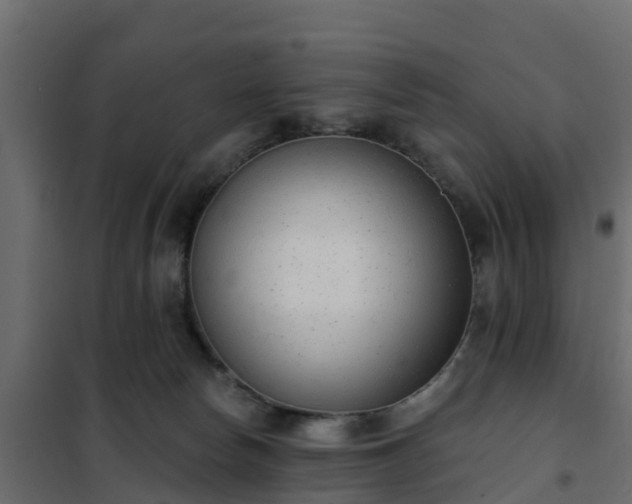 X0000102350178200808081203