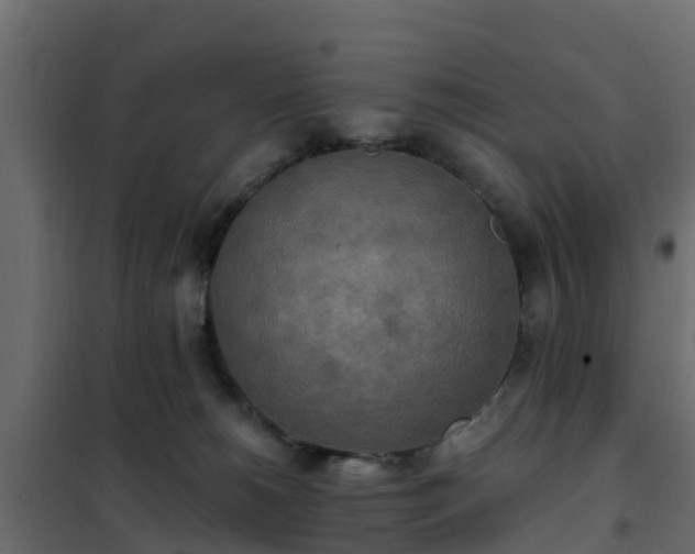 X0000102350180200808081203