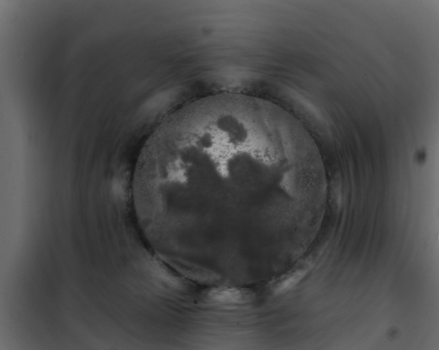 X0000102350181200808081203