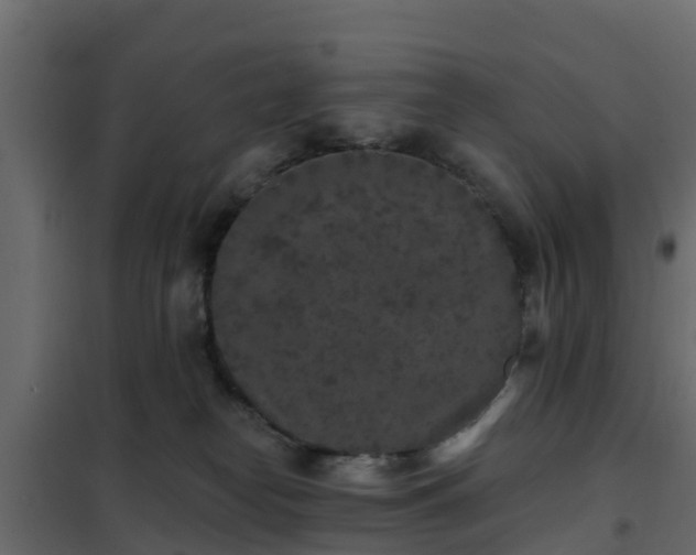 X0000102350182200808081203