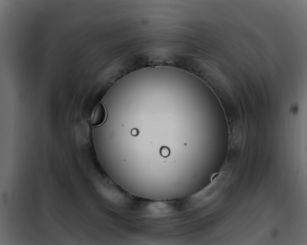 X0000102350183200808081203