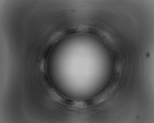 X0000102350185200808081203