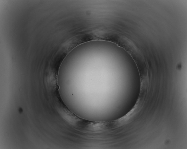 X0000102350186200808081203