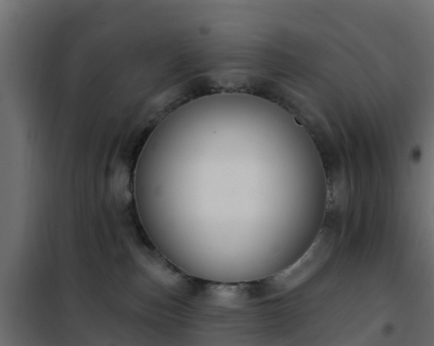 X0000102350187200808081203