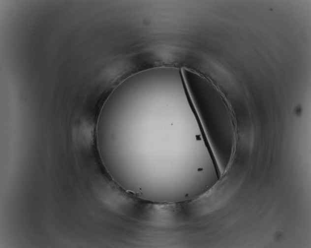 X0000102350188200808081203