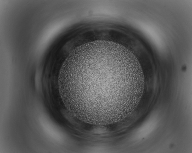 X0000102350189200808081203