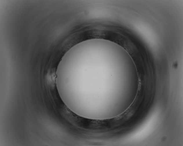 X0000102350190200808081203