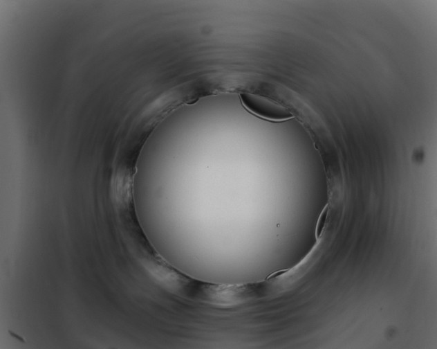 X0000102350191200808081203