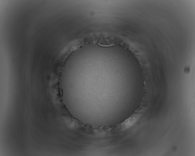 X0000102350192200808081203