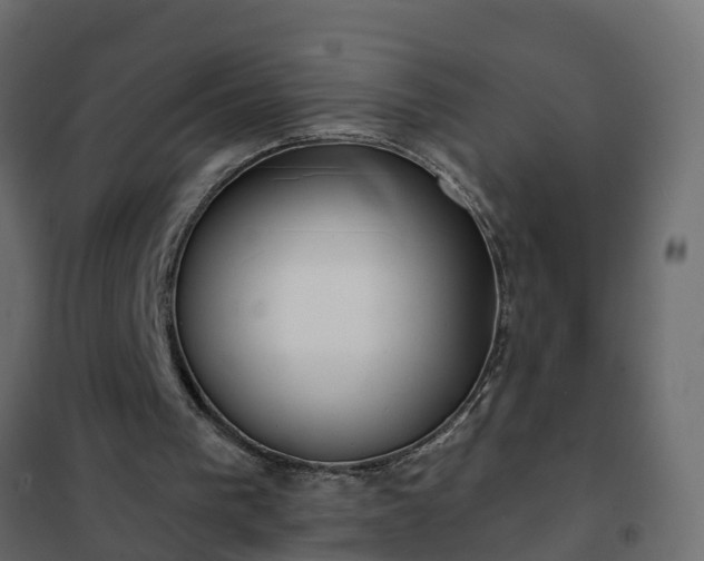 X0000102350193200808081202