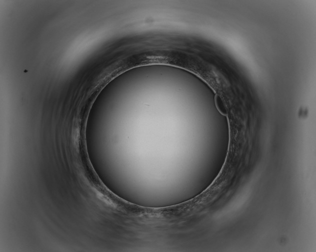 X0000102350194200808081202