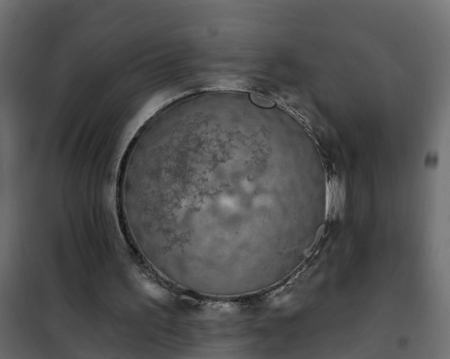 X0000102350195200808081202