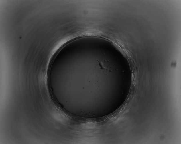 X0000102350196200808081202