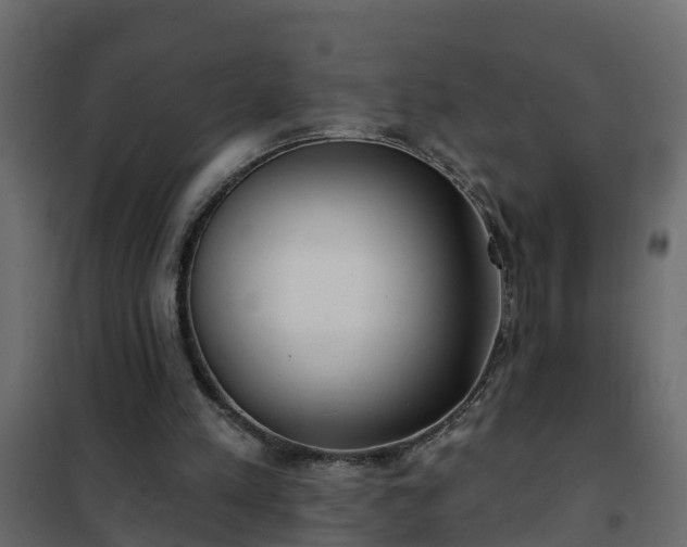 X0000102350197200808081202