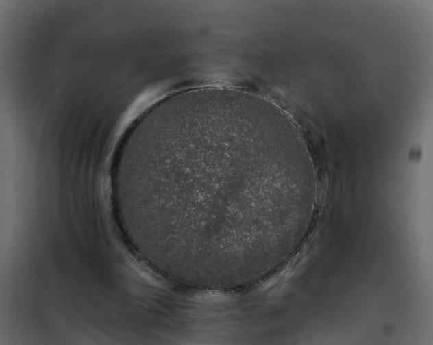 X0000102350198200808081202