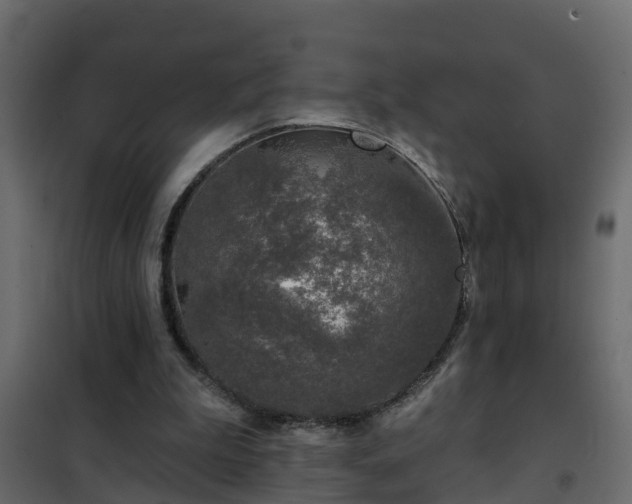 X0000102350199200808081202