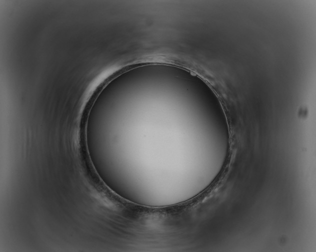 X0000102350200200808081202