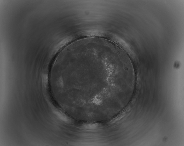 X0000102350202200808081202