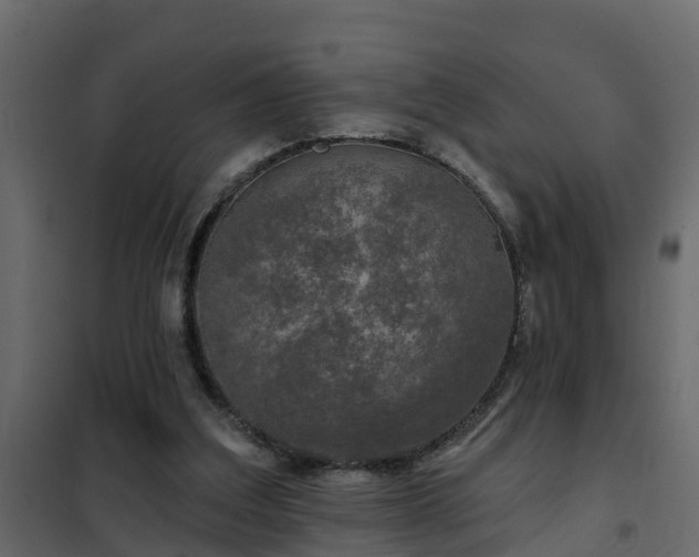 X0000102350203200808081202