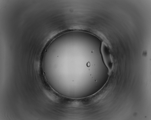 X0000102350204200808081202