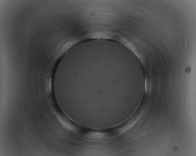 X0000102350205200808081202