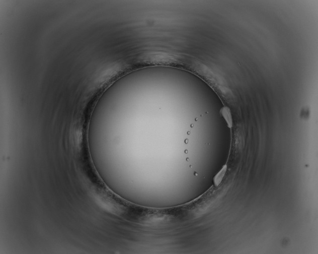 X0000102350206200808081202