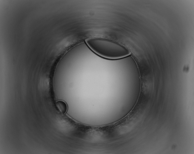 X0000102350207200808081202