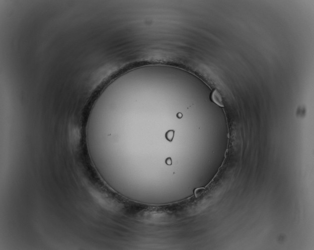 X0000102350208200808081202