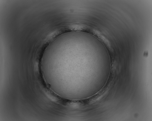 X0000102350209200808081202