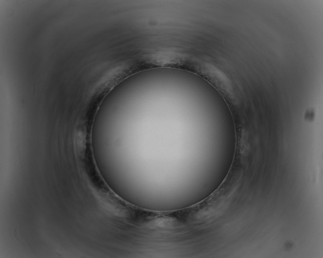 X0000102350210200808081202