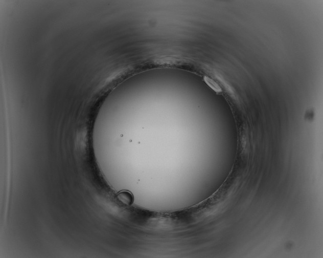 X0000102350211200808081202