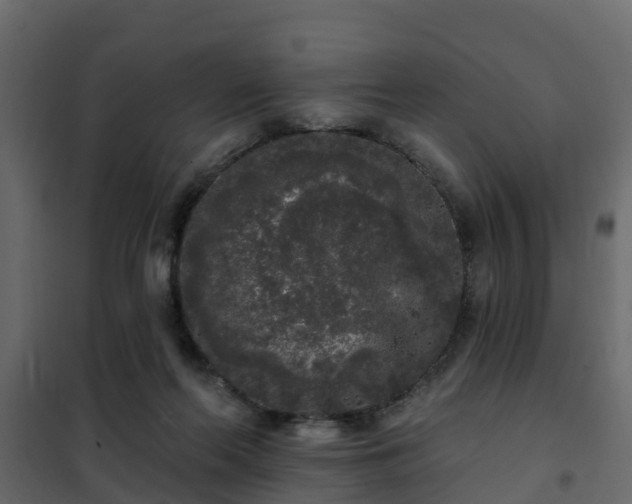 X0000102350214200808081202