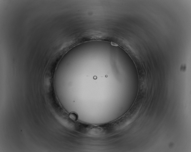 X0000102350215200808081202