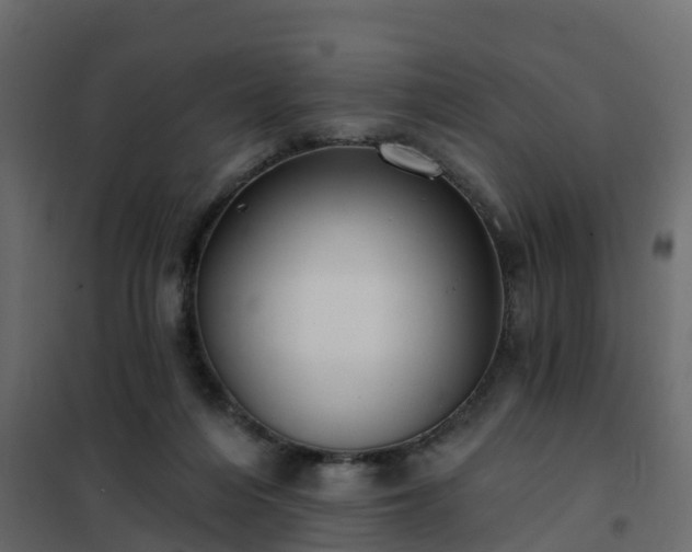 X0000102350216200808081202