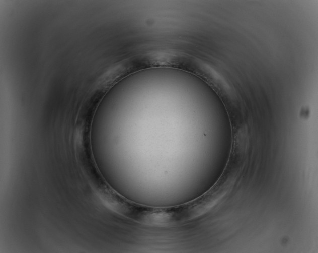 X0000102350217200808081202