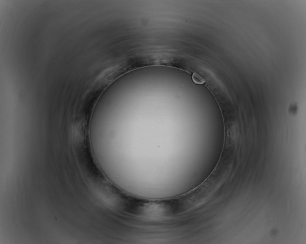 X0000102350218200808081202