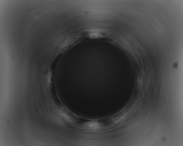 X0000102350219200808081202