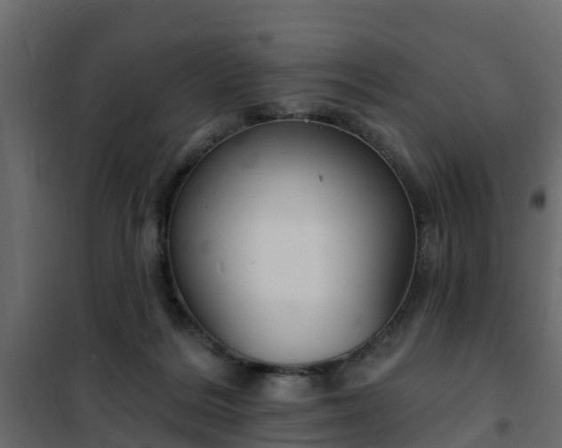 X0000102350220200808081202