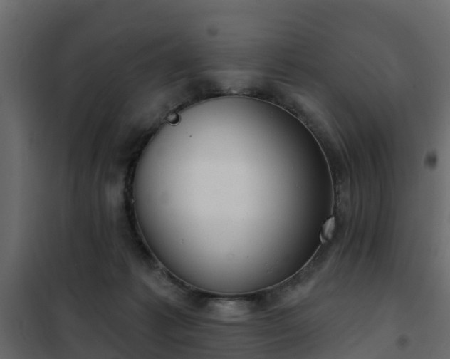 X0000102350221200808081202