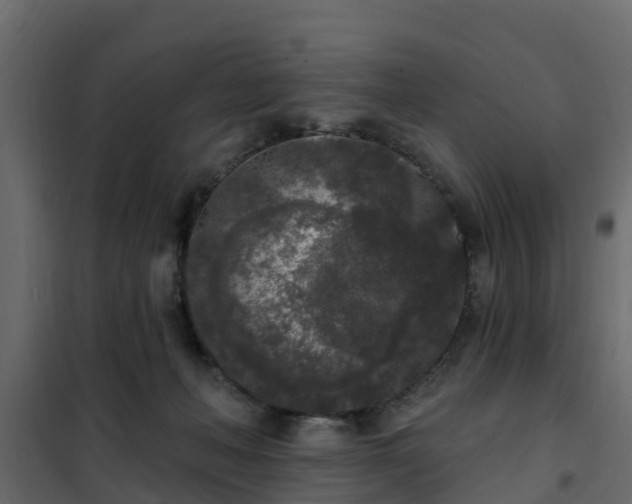 X0000102350222200808081202