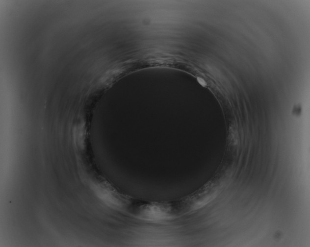 X0000102350223200808081202