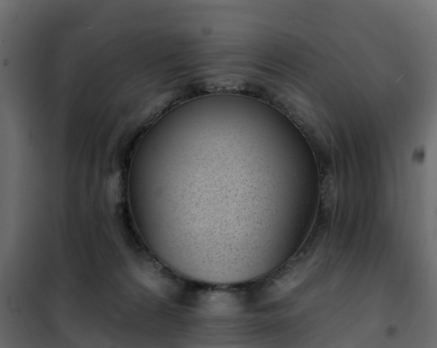 X0000102350224200808081202