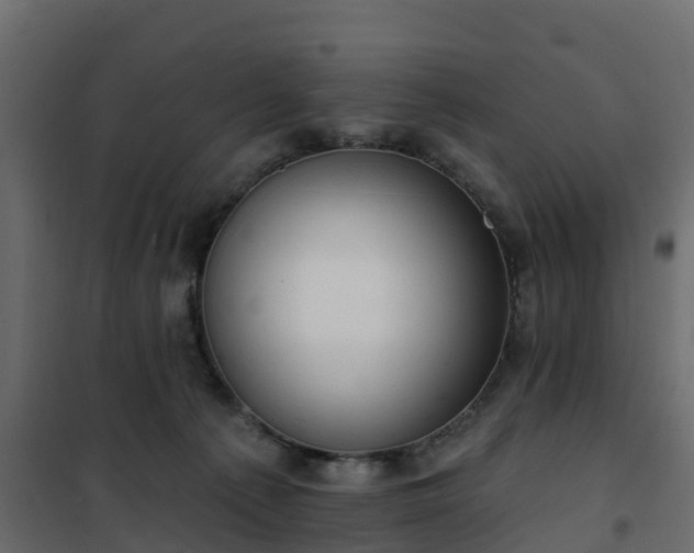 X0000102350225200808081202