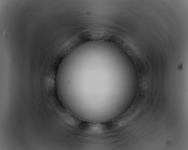 X0000102350226200808081202