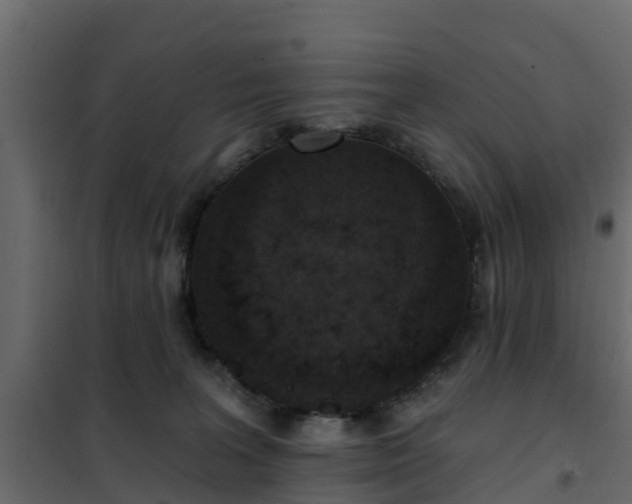 X0000102350227200808081202