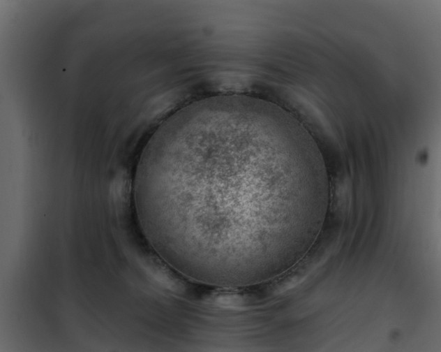 X0000102350228200808081202