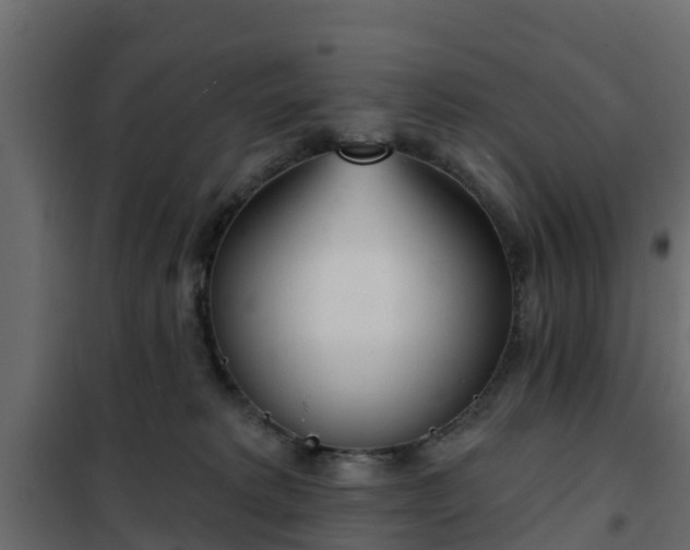 X0000102350229200808081202