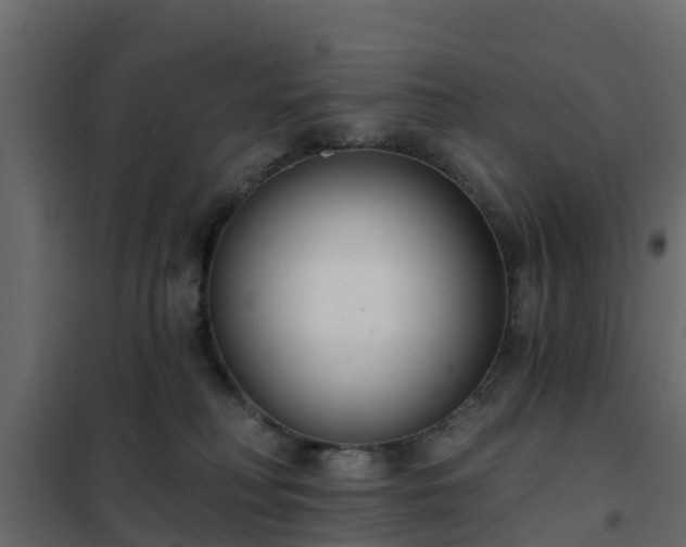 X0000102350230200808081202